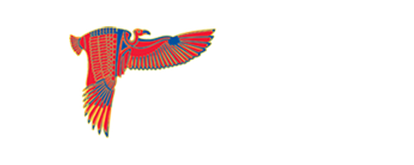 Cairo Airport Company logo